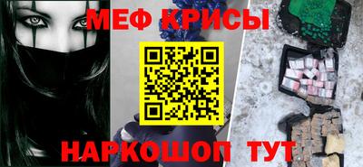 молекула духа Кингисепп