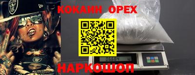 молекула духа Кингисепп