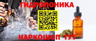 молекула духа Кингисепп