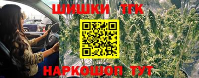 гашик Кимры