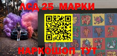 молекула духа Кингисепп