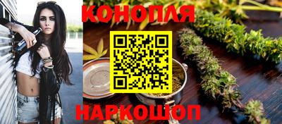 молекула духа Кингисепп