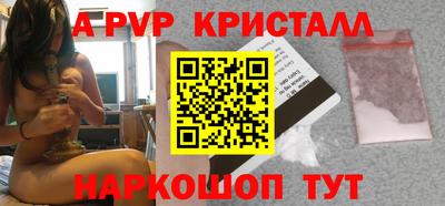 молекула духа Кингисепп