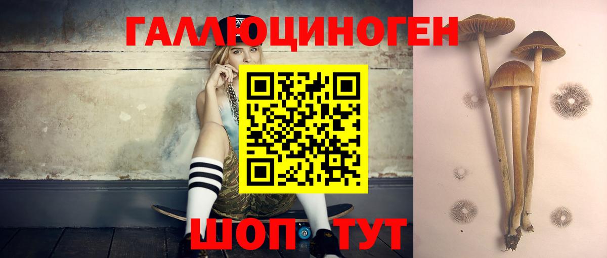 Псилоцибиновые грибы ЛСД  Псилоцибиновые грибы Magic Shrooms  Королёв  Вход с VPN 